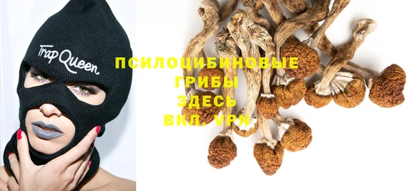 марки lsd Алзамай