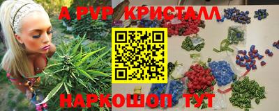 стаф Тара