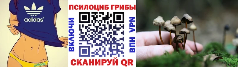 Галлюциногенные грибы Cubensis  купить   Отрадное 