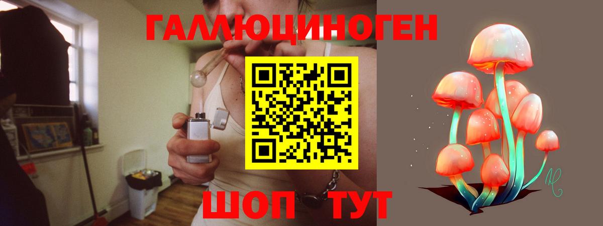 Псилоцибиновые грибы GOLDEN TEACHER  Галлюциногенные грибы Cubensis  Вход с VPN  Отрадное 
